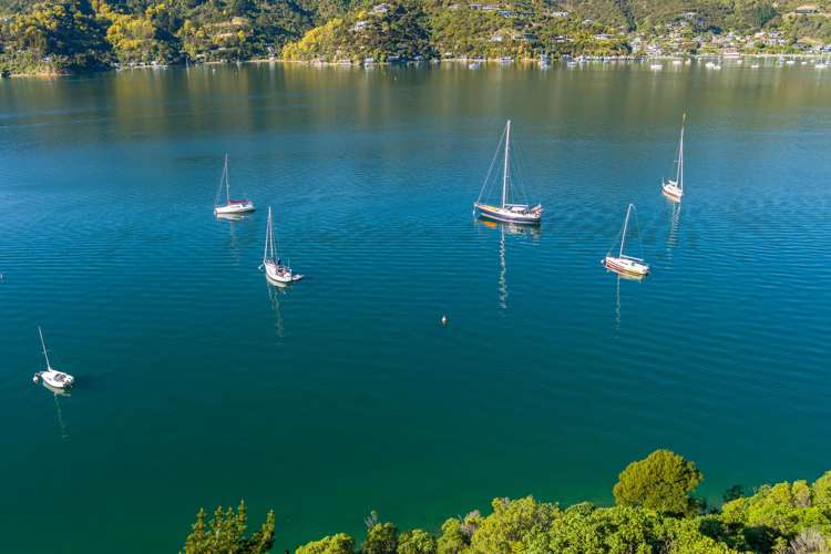 The Snout Waikawa Bay Picton_7