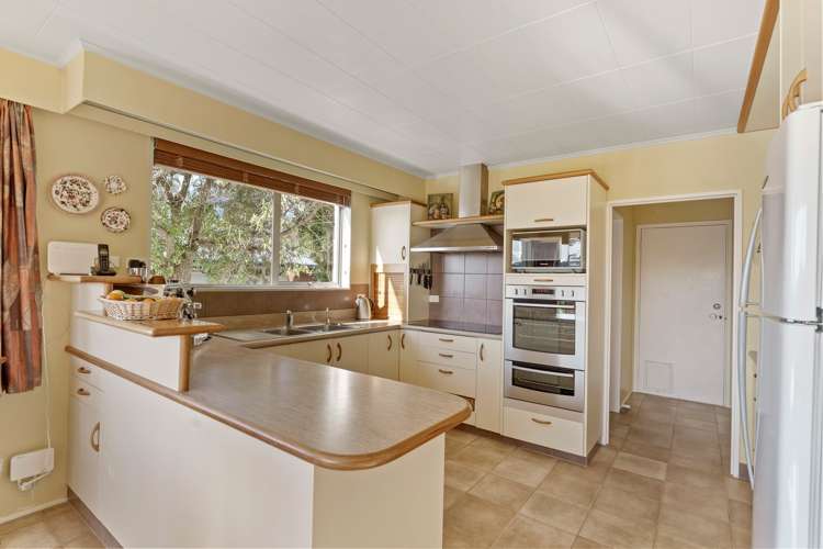 31 Dorset Street Picton_3