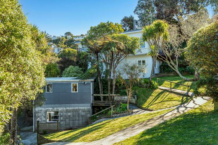 4 Broomhill Road Aro Valley_21