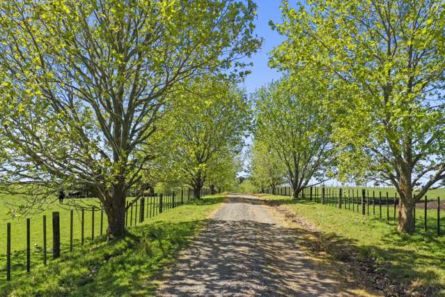 465 Otaha Road Kerikeri_3