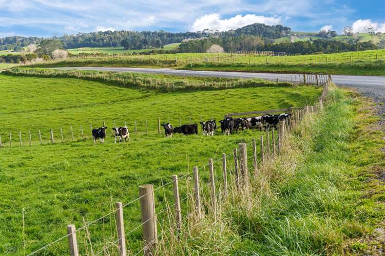 Lot Lots 2 - 4 Pool Road Wellsford_7