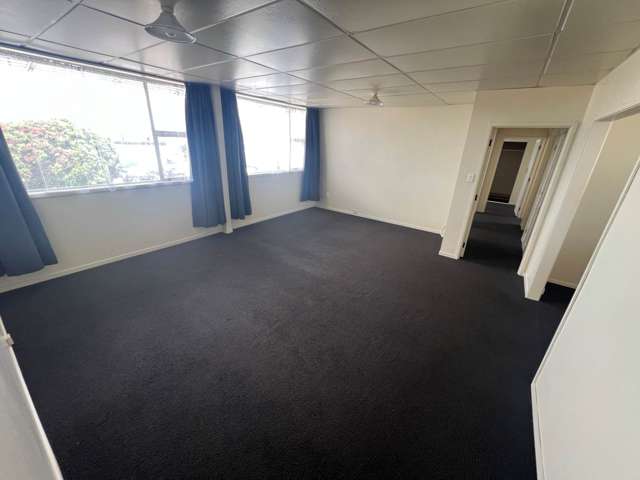 16 Marjorie Jayne Crescent Otahuhu_3