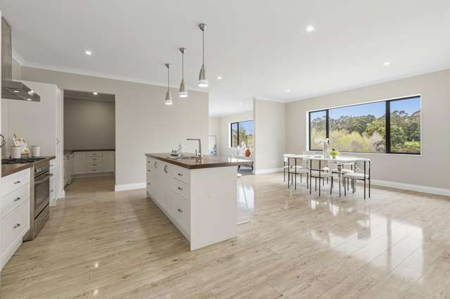 108 Kennedy Road Dairy Flat_3