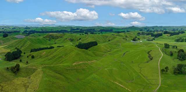 250 North Road Eketahuna_4