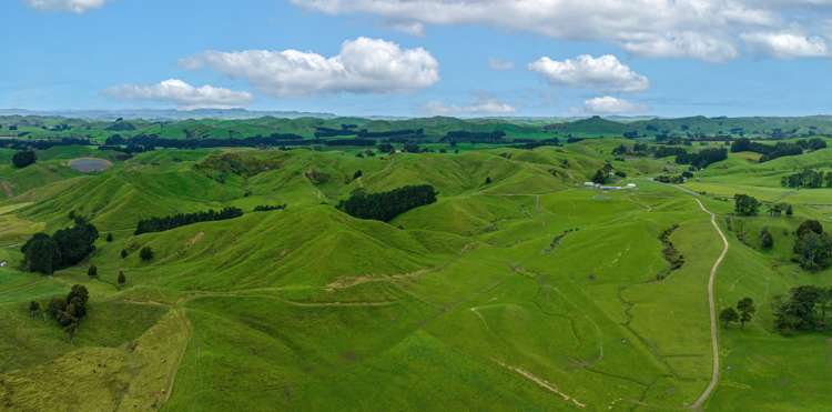 250 North Road Eketahuna_4