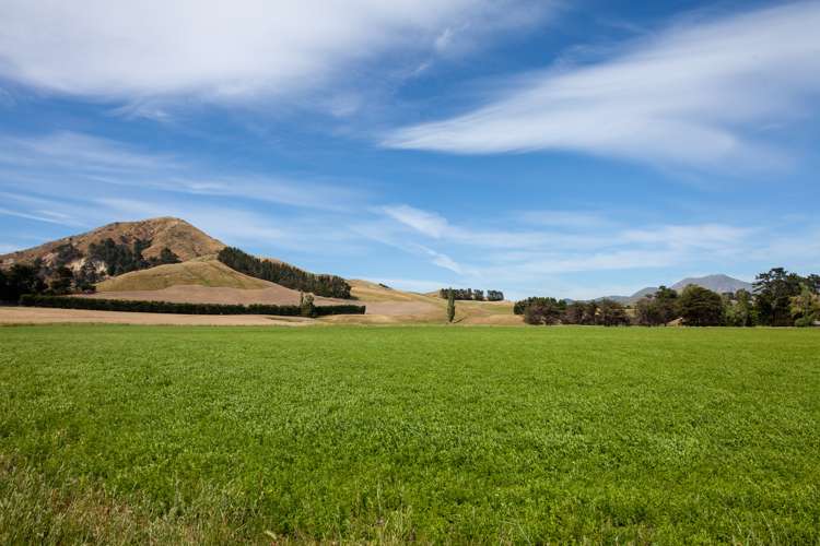 6 Clermont Street Ward_1