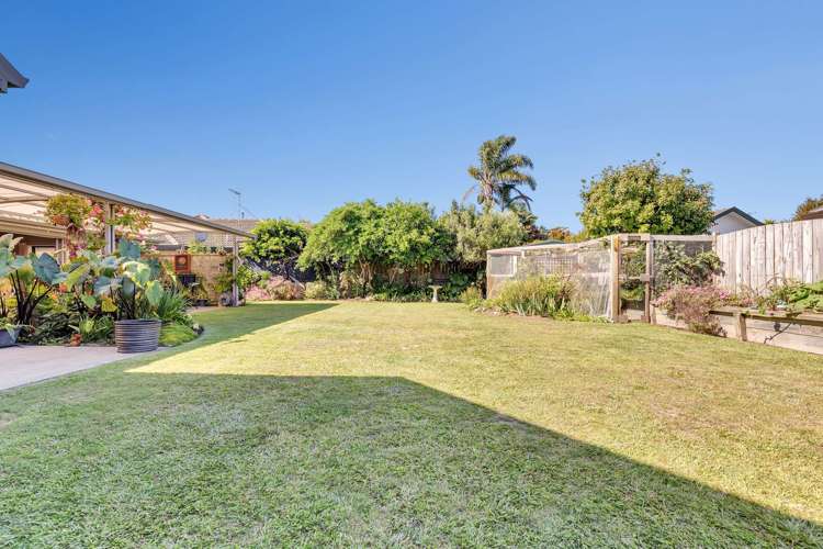 7 Bahamas Key Papamoa_28