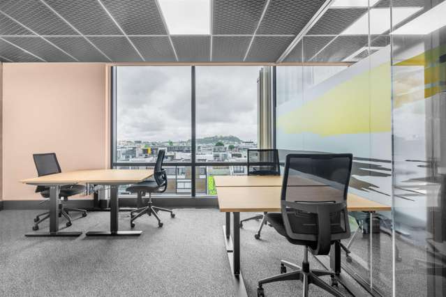 4 Williamson Avenue Ponsonby_3