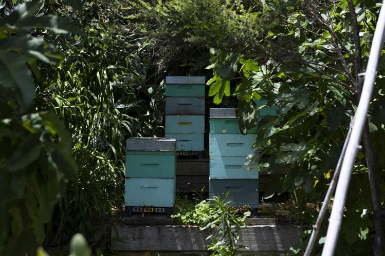 42 Tasman Heights Ahipara_41