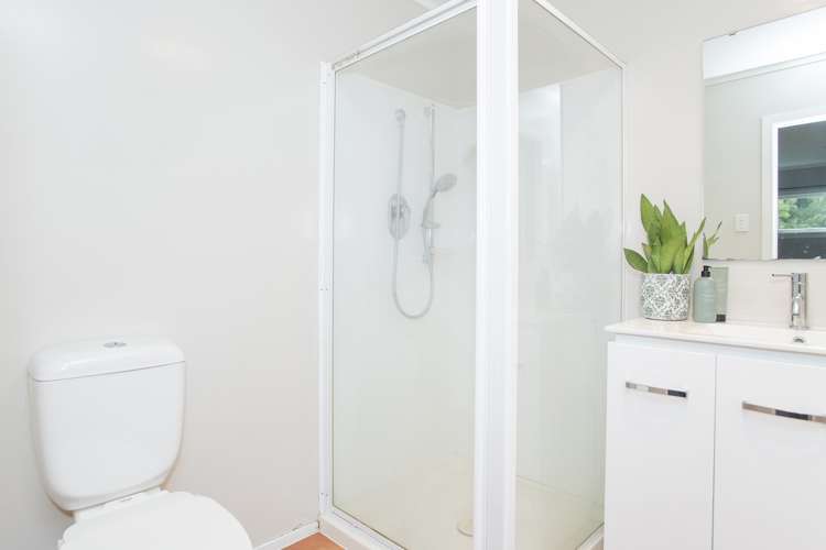 249 Valley Road Mangapapa_12