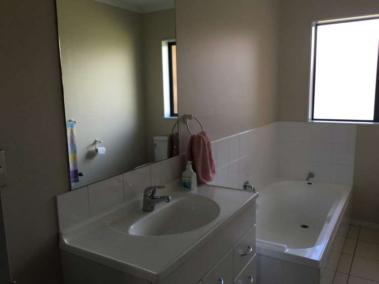 103 Palmers Road Clendon Park_4