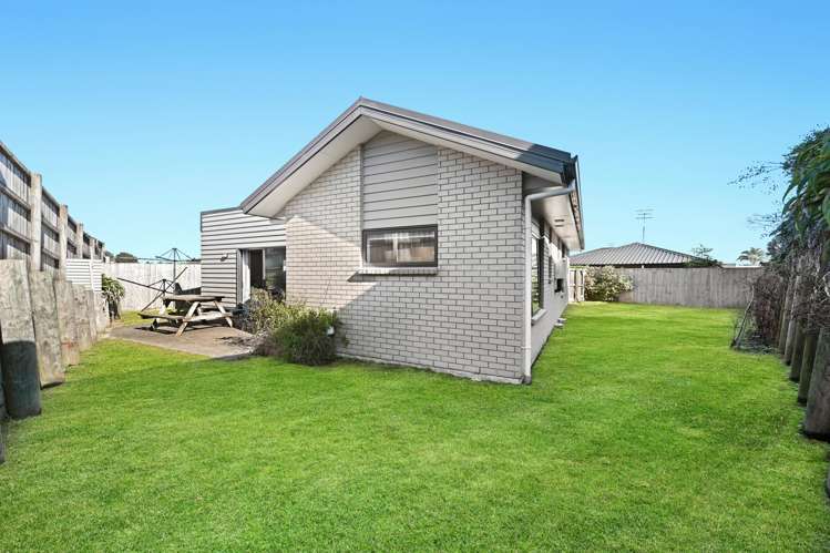 20 Taotahi Avenue Dinsdale_14
