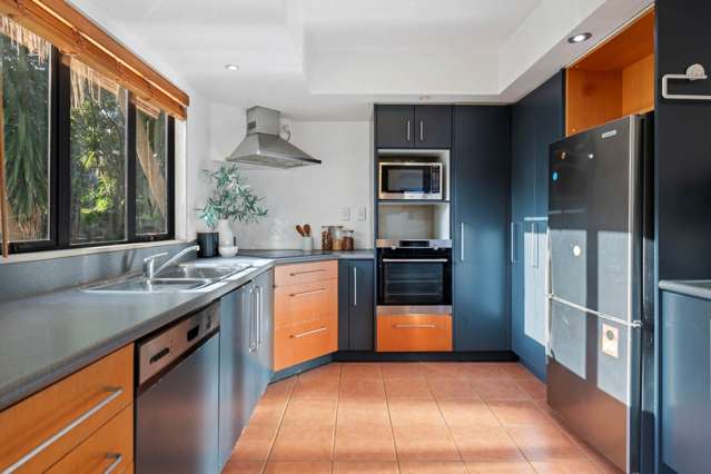 47a Frederick Street Hillsborough_4