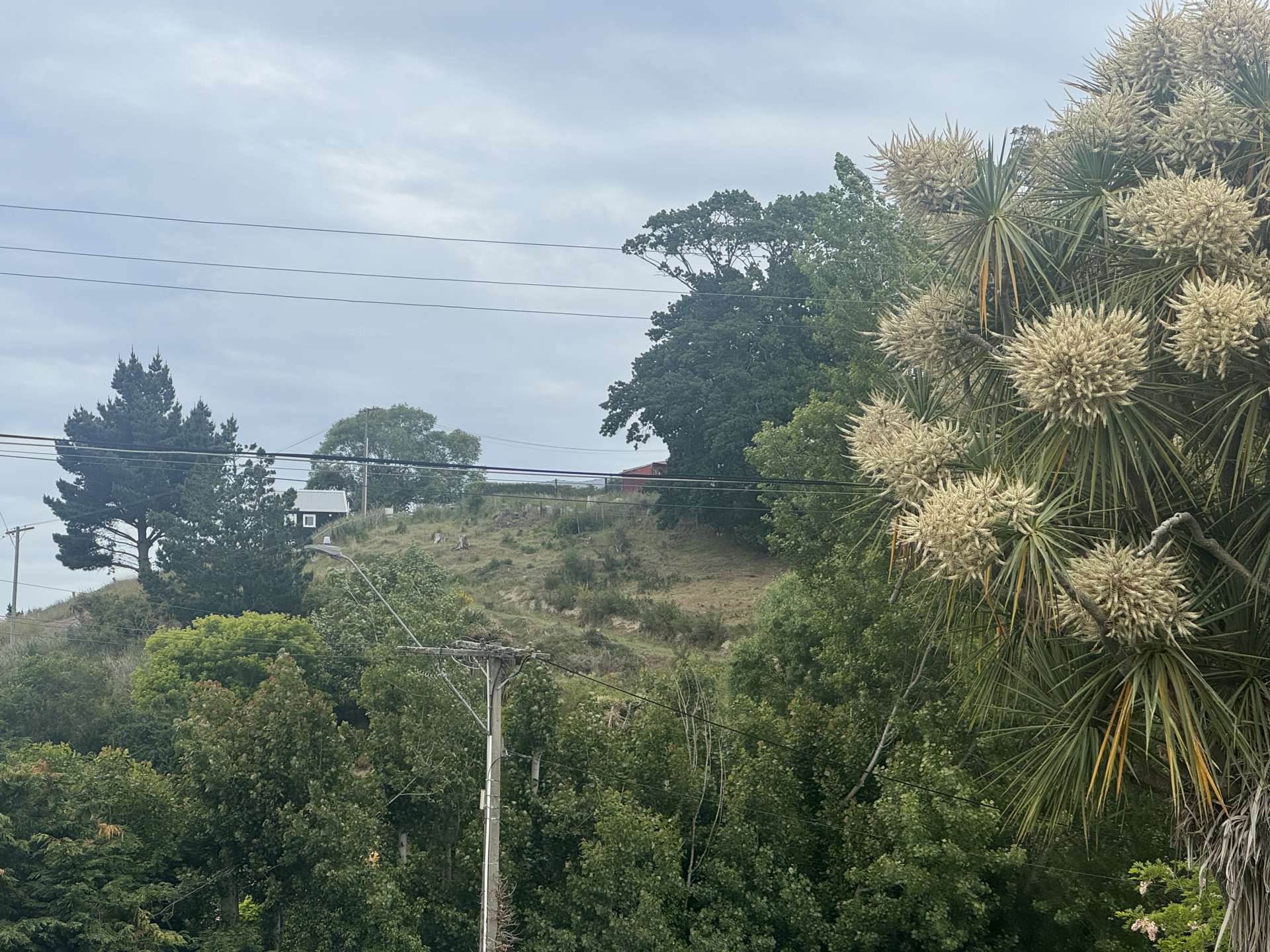 Address withheld Oamaru_0