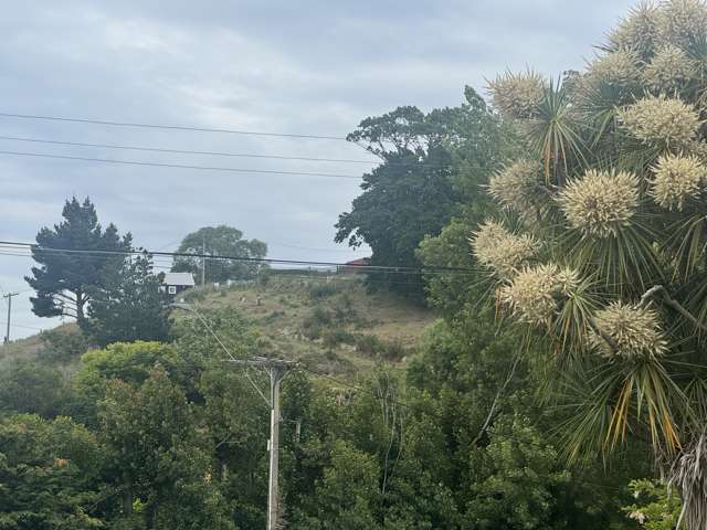 Maude Street - Section