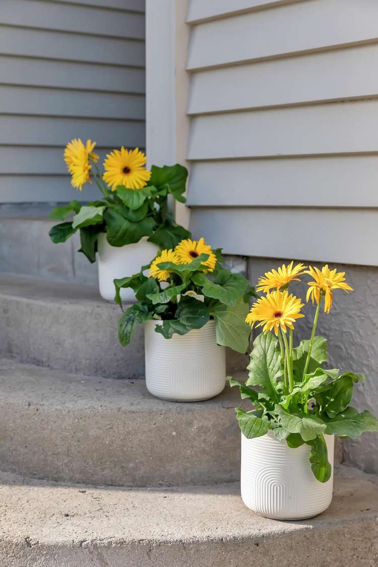 104 Mill Road Kensington_23