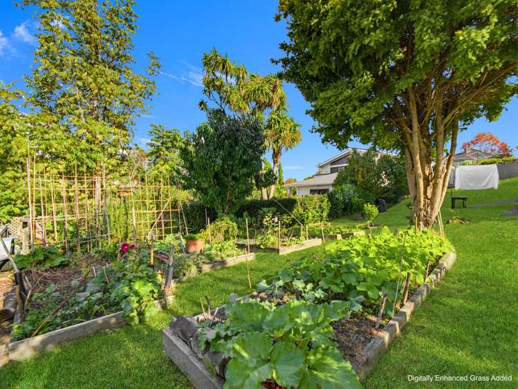 10/16 Willerton Ave New Lynn_20