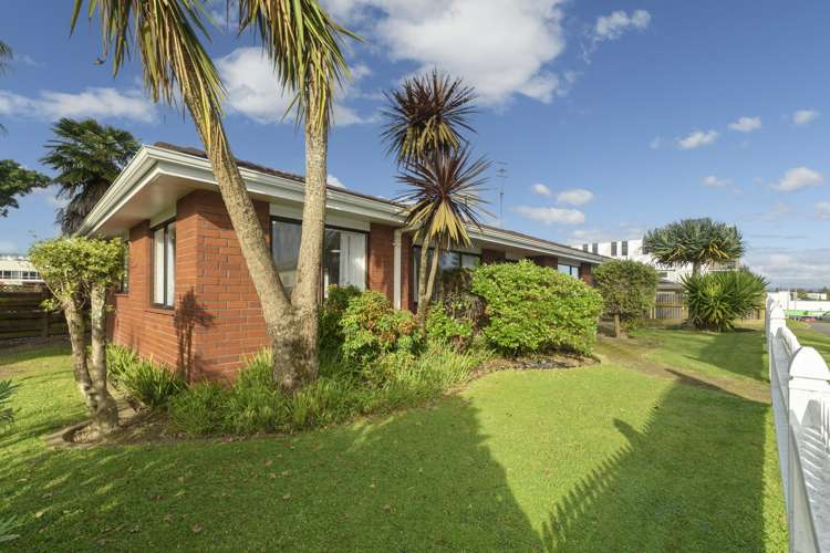 28 Selwyn Street Tauranga Central_12