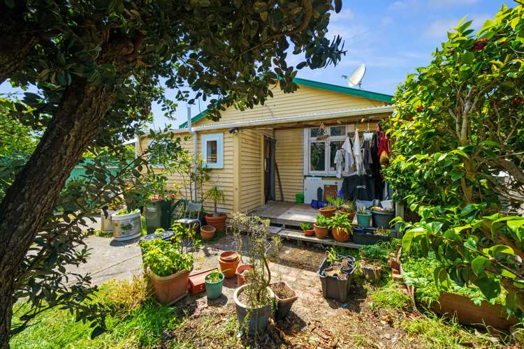 17 Collins Street Petone_11