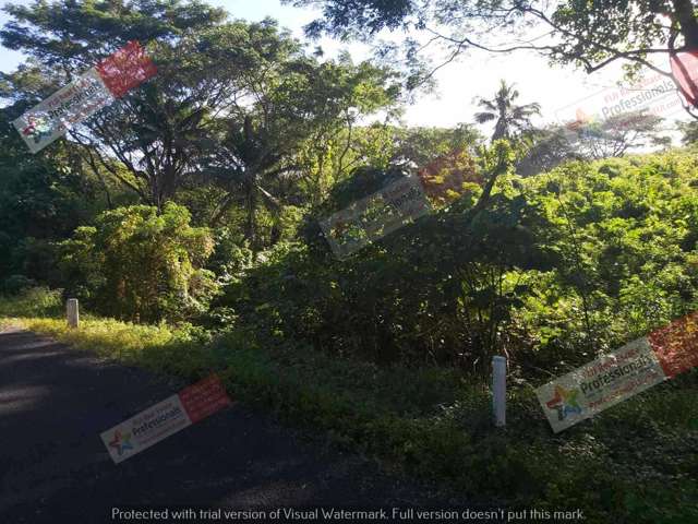 Address withheld Savusavu_3