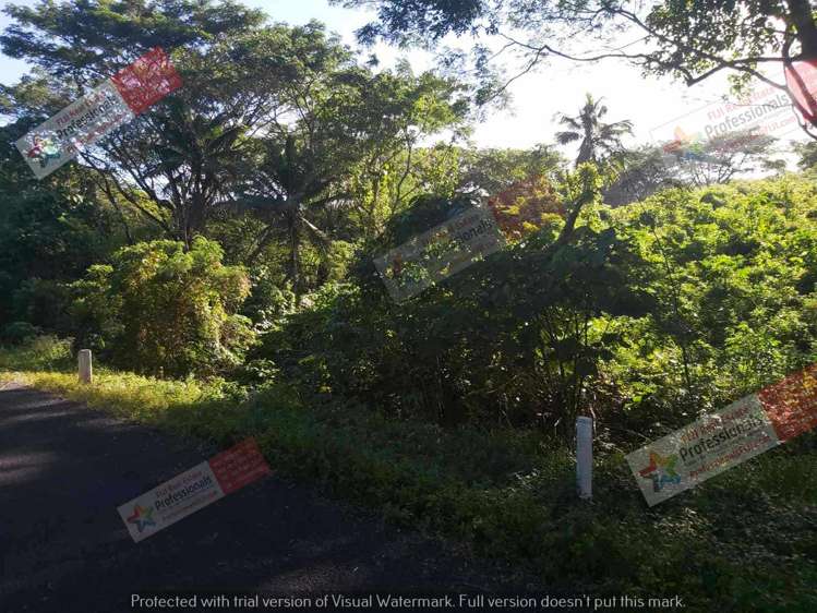 Address withheld Savusavu_3