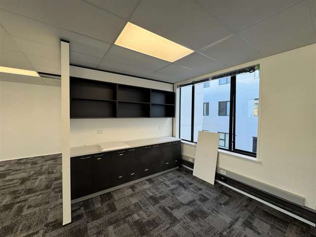 Level 3, 20 Kent Terrace Te Aro_2