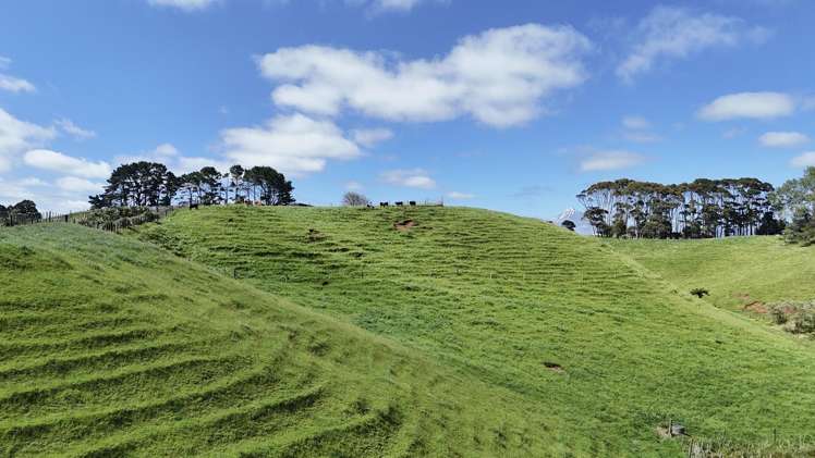 75d Bishop Road Hillsborough_10