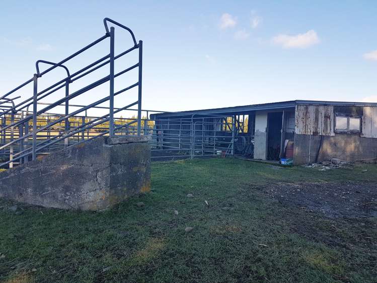 76064 State Highway 2 Rangitikei Surrounds_11