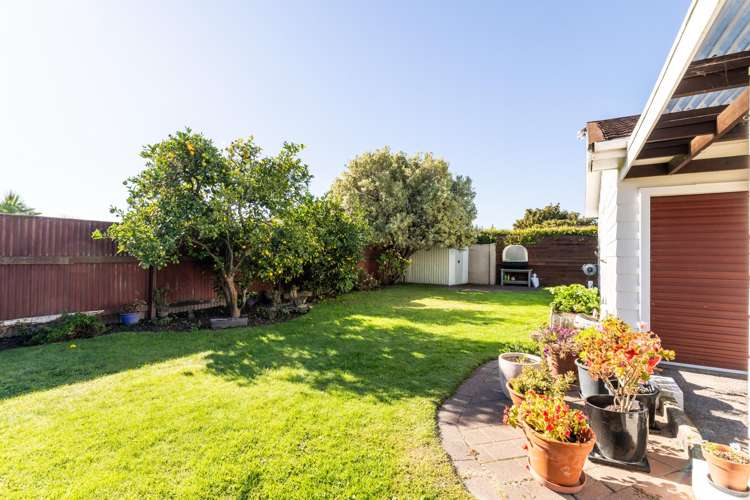 4 Plunket Street Tamatea_13