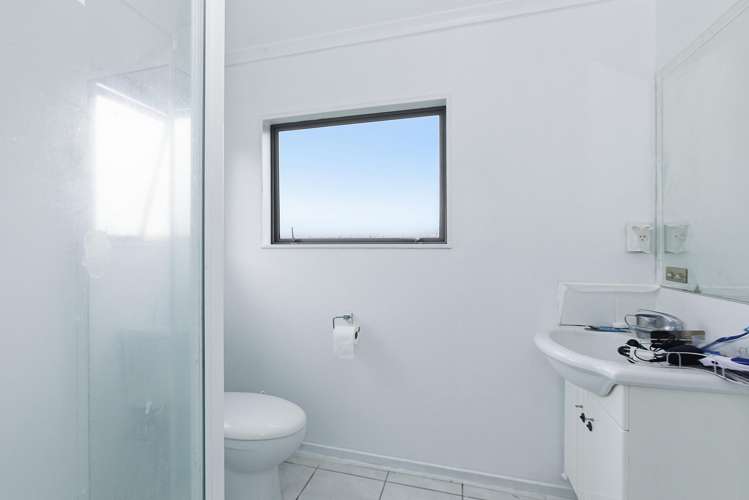 28 Vogel Place Te Aroha_9