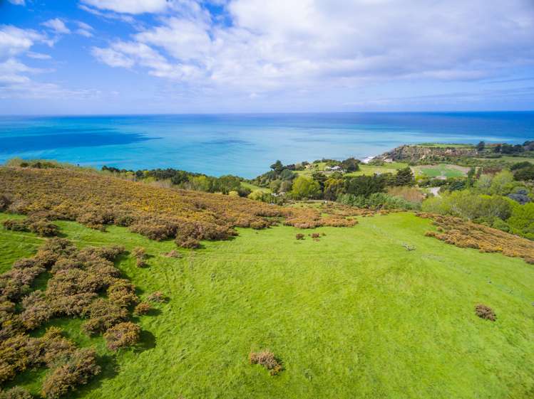 332 Cathedral Road Domett_8