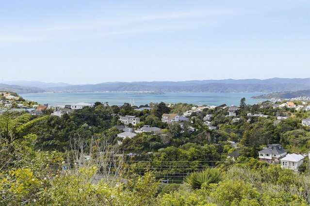 74 Ponsonby Road Karori_2