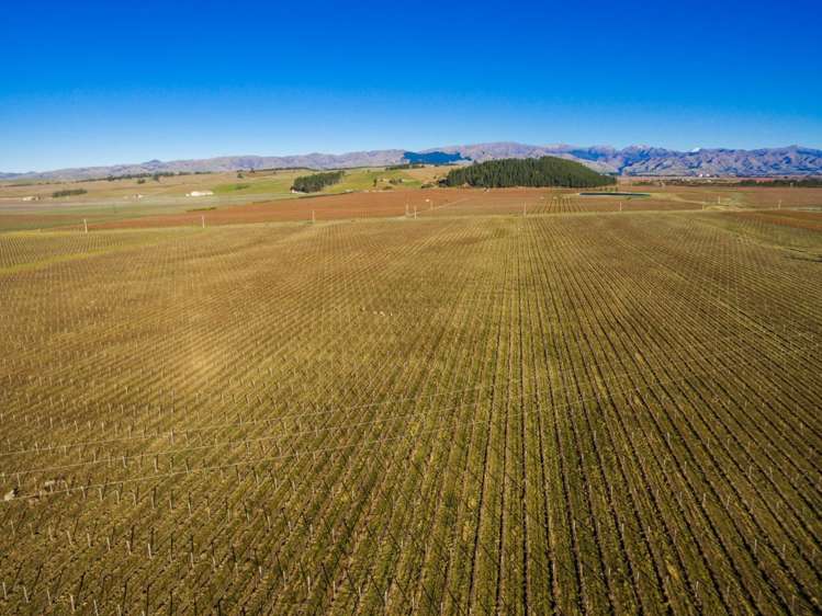 72 Fareham Lane Renwick_6