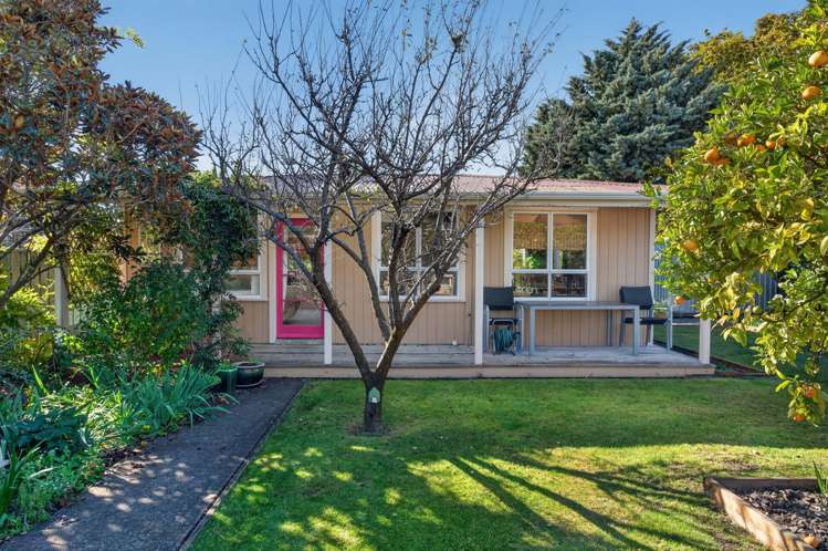 33 Venice Street Martinborough_15