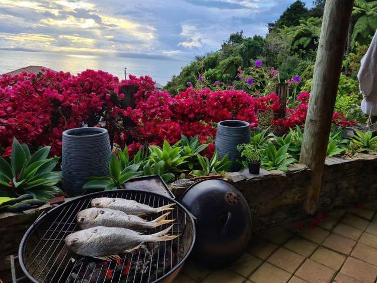 9 Trotter Avenue Waiomu_18