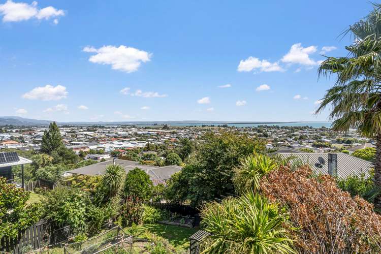 51 Tosswill Road Tahunanui_25