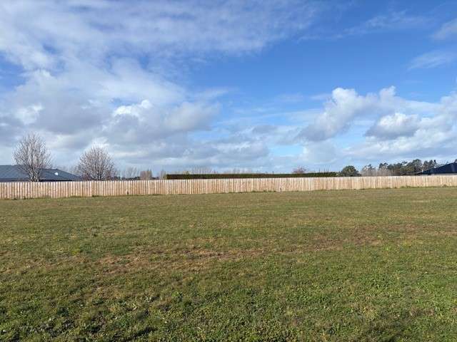 Dream Big on Ashbury Drive!