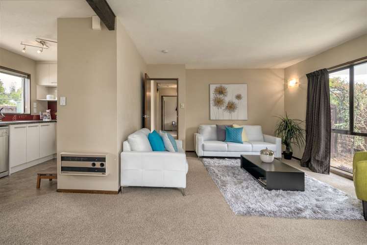 1/9 Ikamatua Lane Sydenham_5