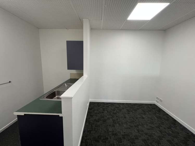 2A/268 Manukau Road Epsom_5