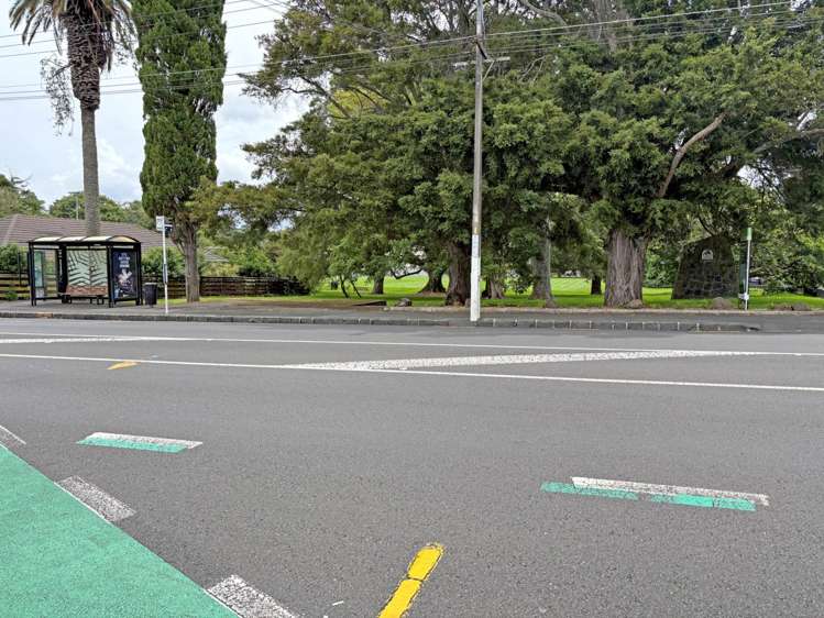 230 Sandringham Road Sandringham_10