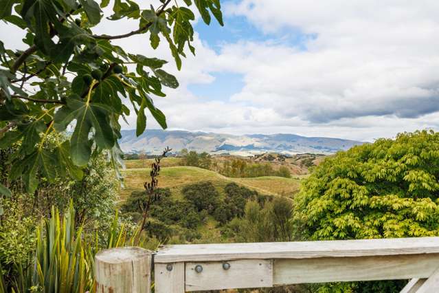 428 Zigzag Road Ashhurst_3