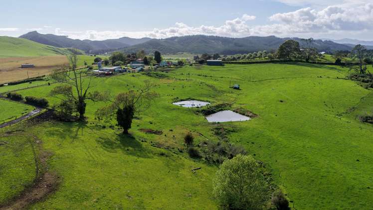 8 Mackay Road Maramarua Forest_6