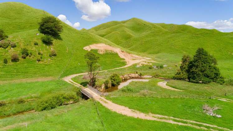 Mangaraupiu Road Eketahuna_8