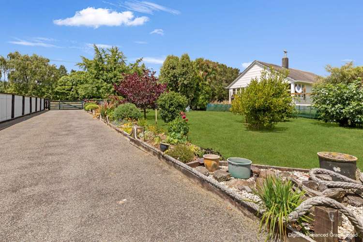 55 Clapham Street Shannon_8