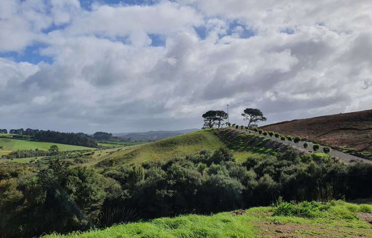 41 Windmill Glen Road Dairy Flat_1