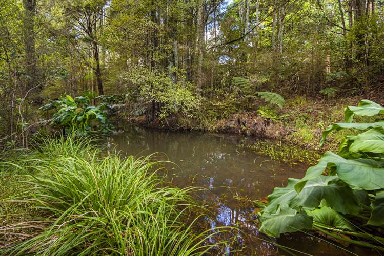 65 Rushbrook Road Ruatangata_12