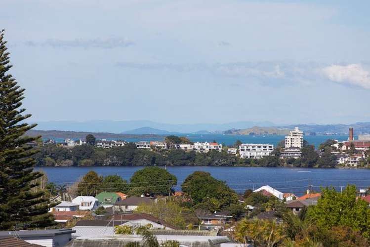 37 Belmont Terrace Milford_15