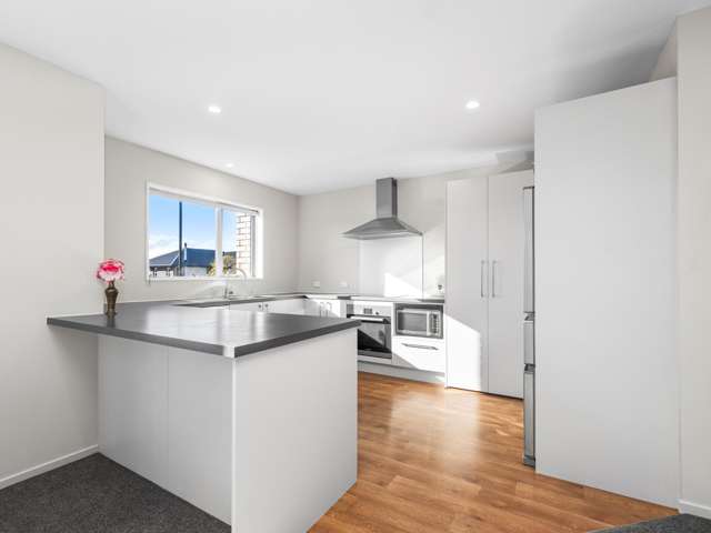 12 Fibonacci Way Leeston_1