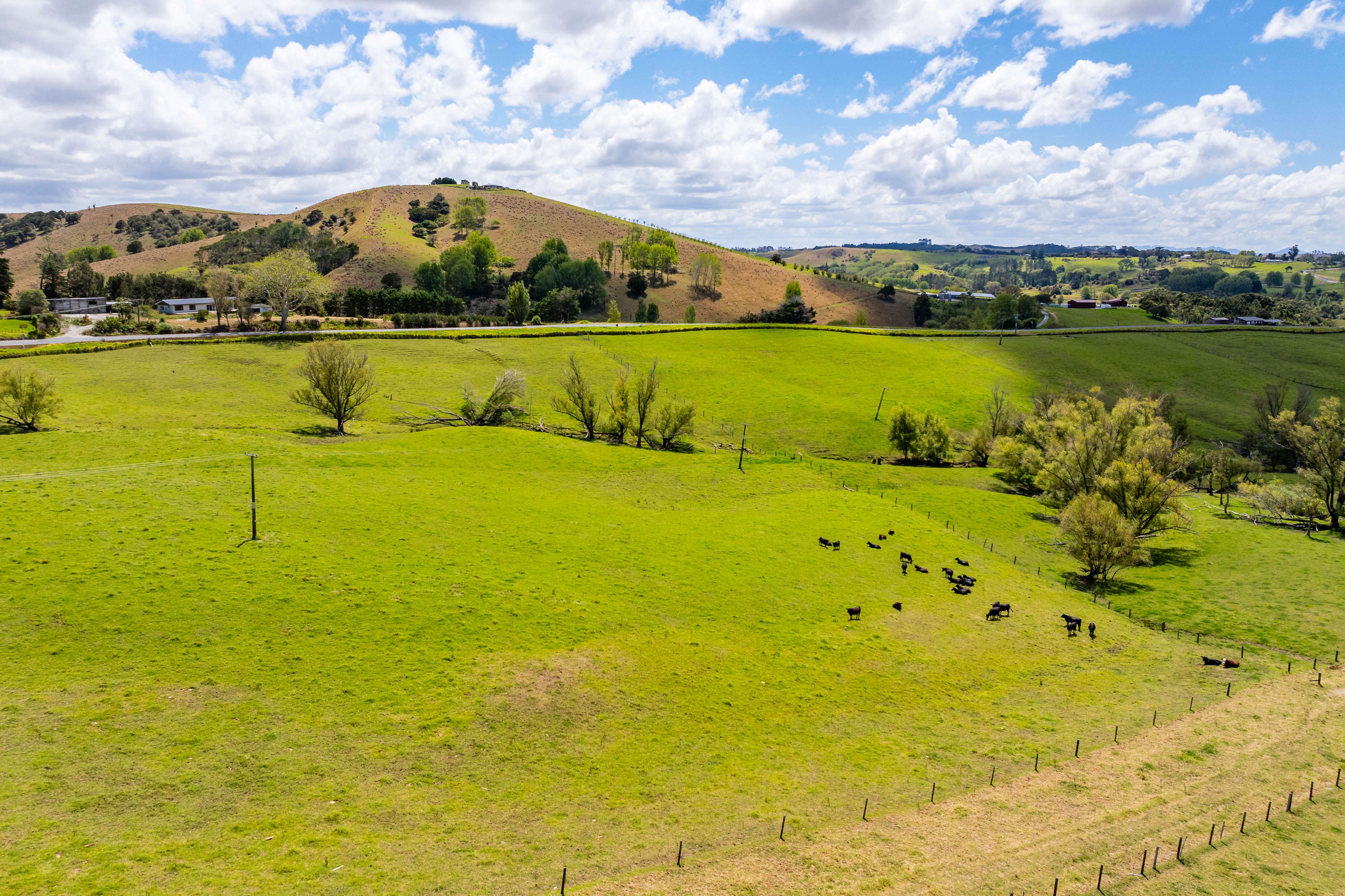 205 Tinopai Road Matakohe Kaipara Rural Property For Sale One Roof