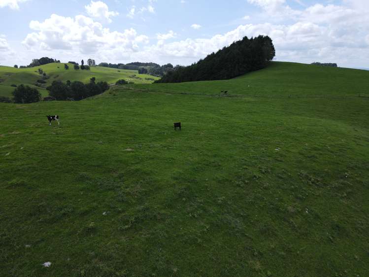 110 Stringers Road Putaruru_21